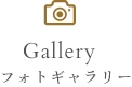 フォトギャラリー