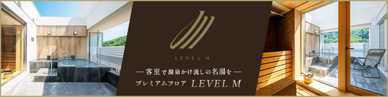 LEVEL M